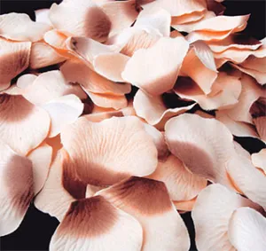 Cinnamon & Peach Rose Flower Petals