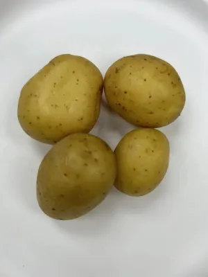 Cosmic Gold Potato