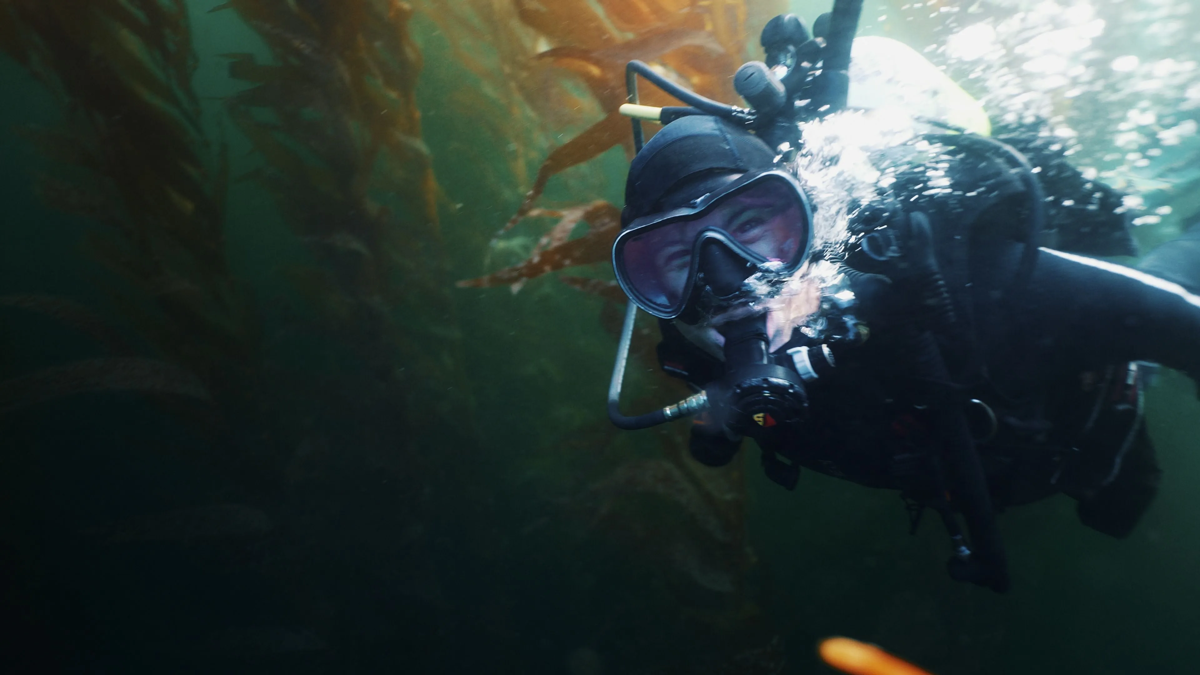 Dive San Miguel Island – Overnight Peace Boat Experience [June 7-8 2025]