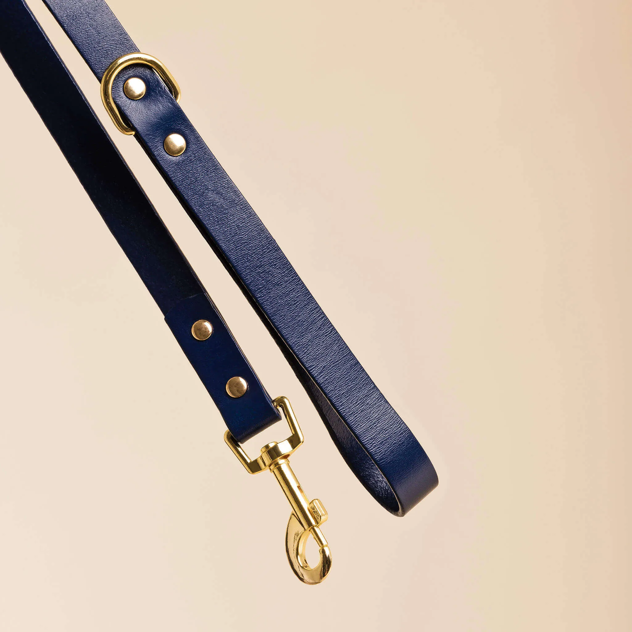 Dog Collar & Leash Set – Ink