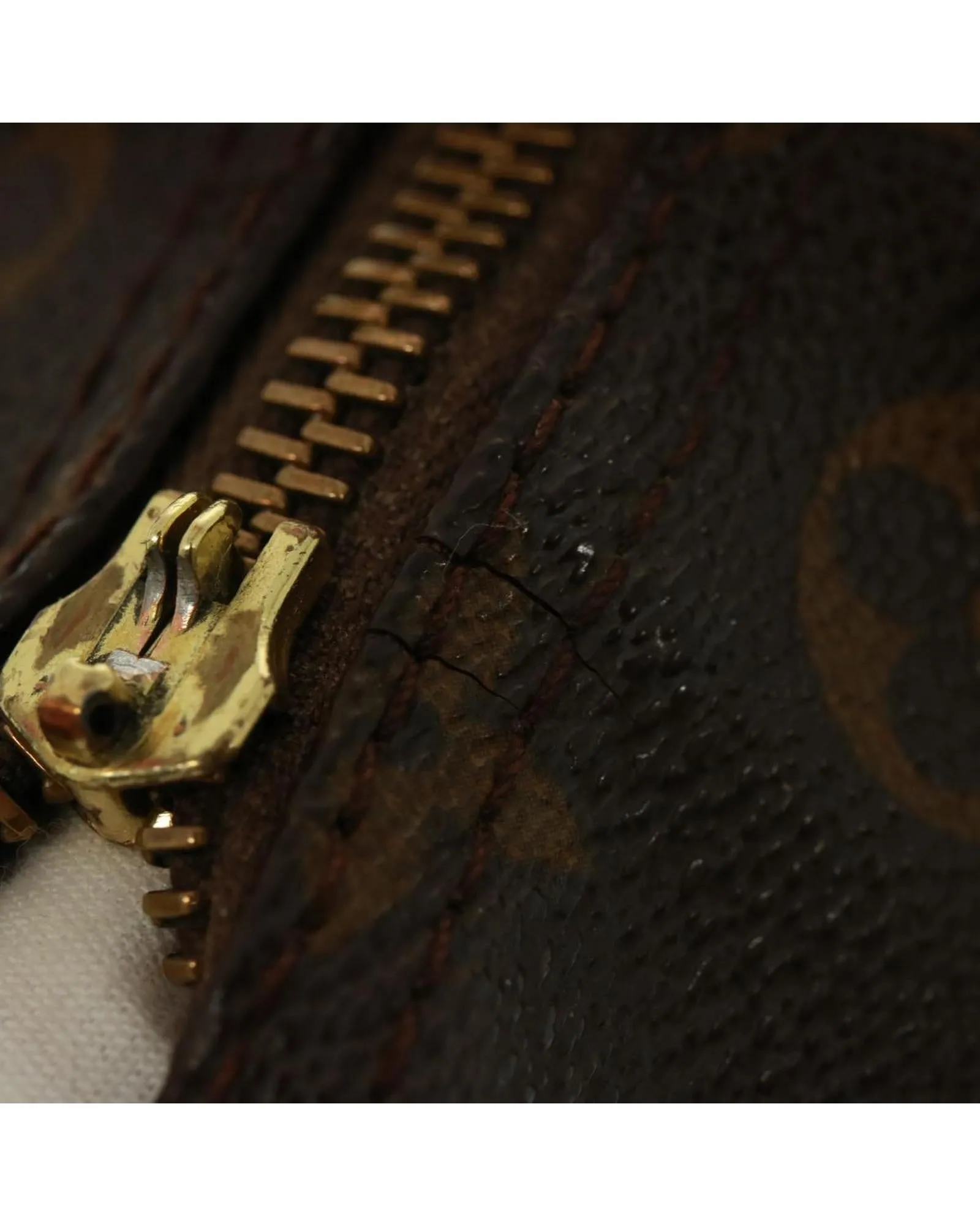 Monogram Canvas Speedy Hand Bag with Classic Design