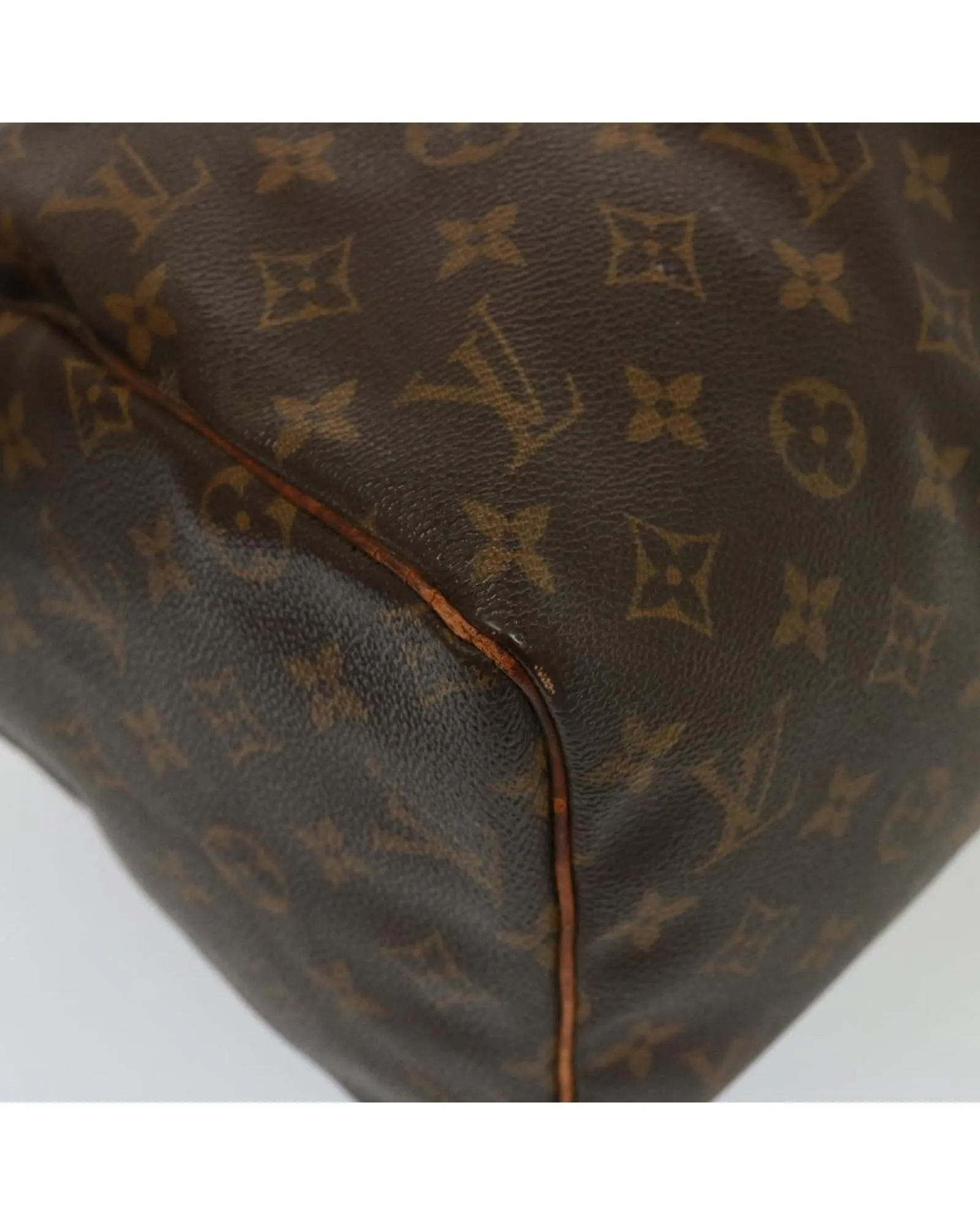 Monogram Canvas Speedy Hand Bag with Classic Design
