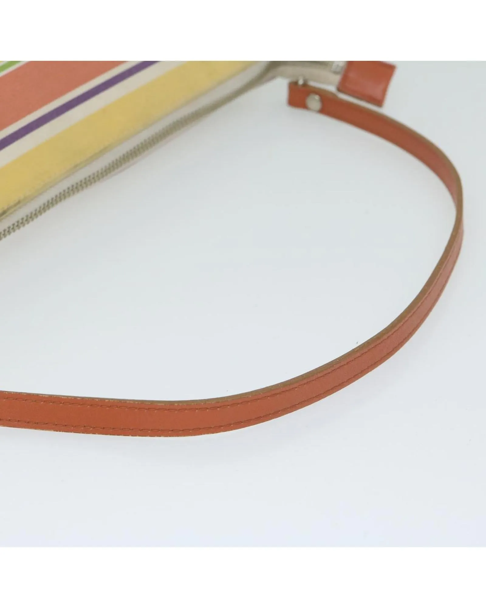 Multicolor Canvas Shoulder Bag with Curb Appeal