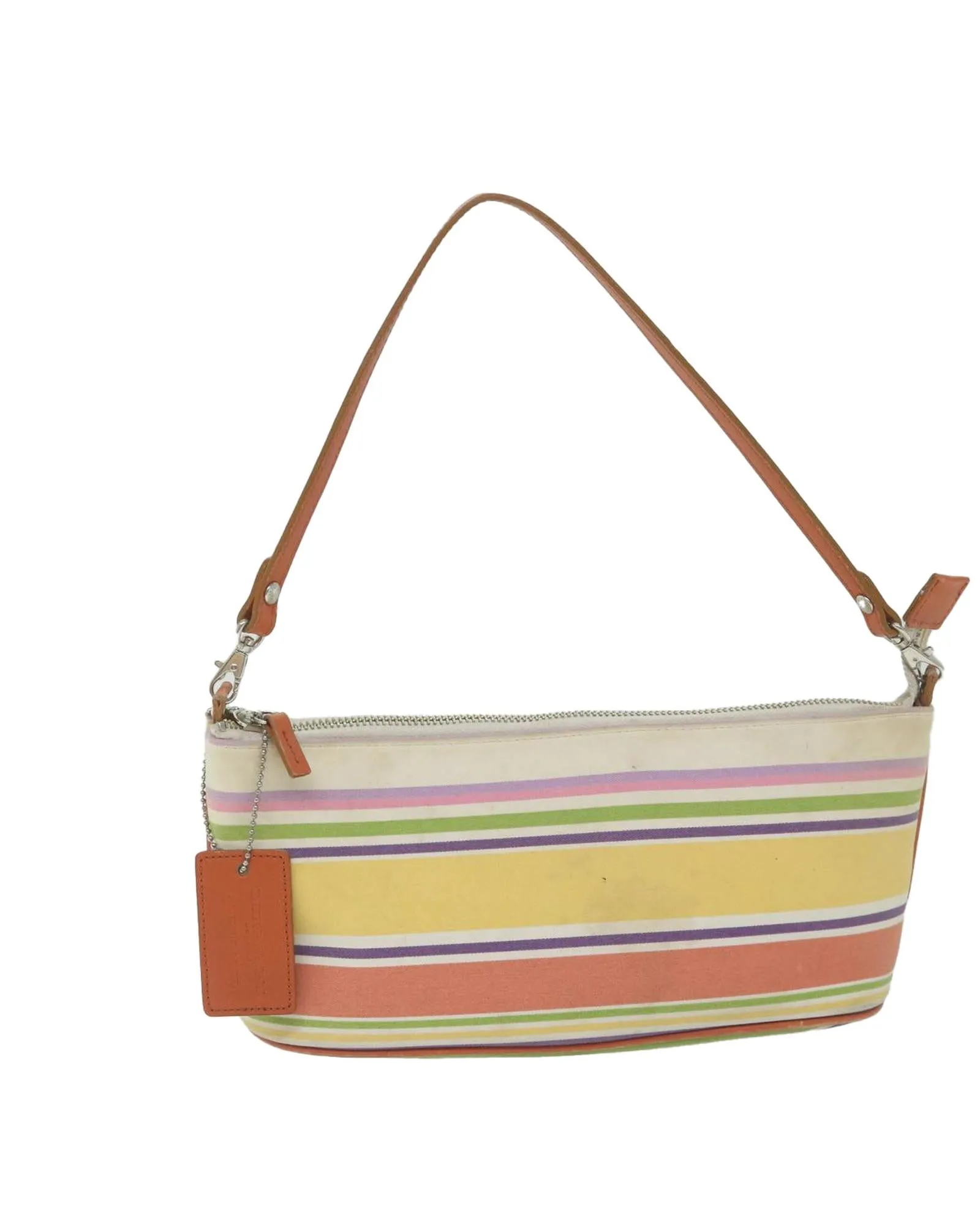 Multicolor Canvas Shoulder Bag with Curb Appeal