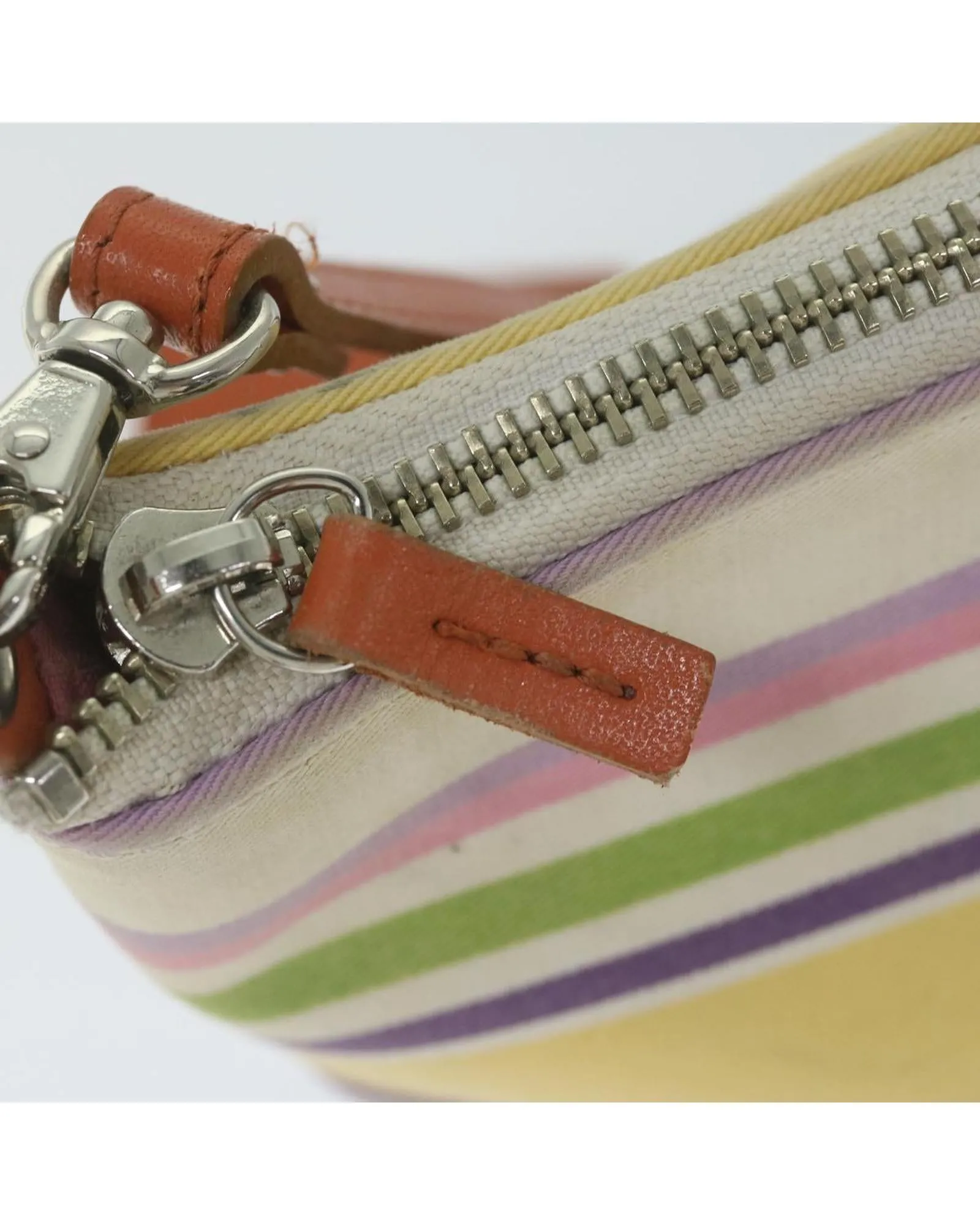 Multicolor Canvas Shoulder Bag with Curb Appeal